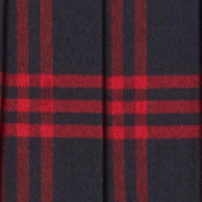 navy red plaid