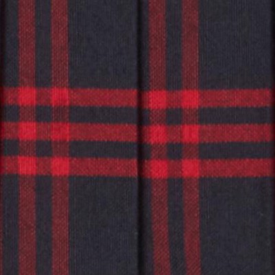 navy red plaid