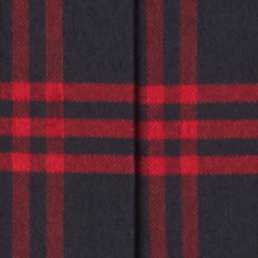 navy red plaid