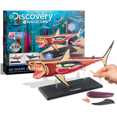 Discovery Kids Toy Anatomy Shark Kit