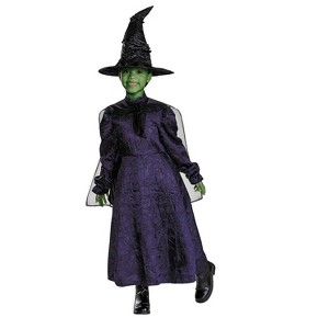 Wicked Girls' Elphaba Adaptive Halloween Costume Dress - Purple - 7-8 - 1 of 1