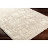 Hauteloom Iduia Beige Plush Area Rug - 3 of 4