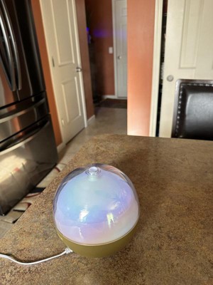Guest review image 1 of 6, zoom in