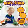 Beyond Innoventions 12-Piece Collectible Dinosaur Set for Kids 3-7 with Play Mat & Storage Box - 4 of 4