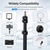 Craze Ventures Adjustable Photography Light Stand with Ball Head - 4 of 4