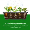 Costway Set of 2 4 FT Vertical Raised Garden Bed 5-Tier Planter Box for Patio Balcony - 4 of 4