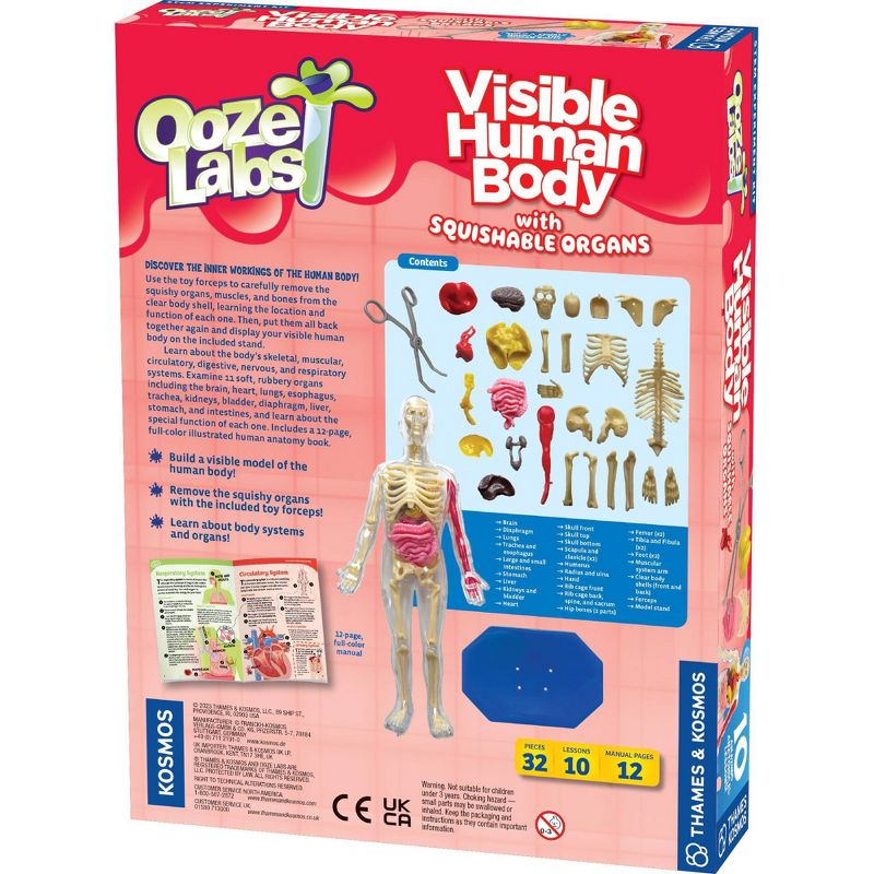 Thames &#38; Kosmos Ooze Labs Visible Human Body with Squishable Organs Science Kit, 3 of 8