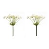 Melrose Queen Anne's Lace Stem (Set of 2) - 2 of 3