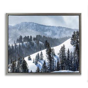Stupell Industries Quiet Snowy Mountain Slopes Scattered Fir Trees Floating Frame Canvas Art, Gray, 31" x 25" - 1 of 4