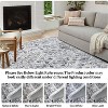 Stain Resistant Non-Slip Machine Washable Area Rug with Distressed Medallion Design for High-Traffic Homes - 4 of 4