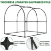 PE Iron Arched Large Greenhouse -, Moisture Retaining, Rainproof, Insulated - 2 of 4