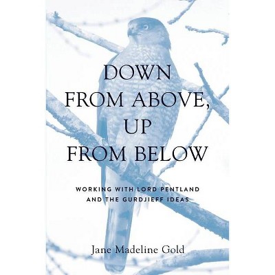 Down From Above, Up From Below - by  Jane Madeline Gold (Paperback)