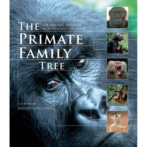 gorilla family tree