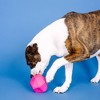 PetShop by Fringe Studio Having A Ball Dog Treat Dispenser Toy - Pink - 4 of 4