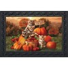 Briarwood Lane Fall Doormat 30x18 Indoor Outdoor Fall Kittens Pumpkins For Fall Doormat - 2 of 4