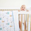 aden + anais essentials Muslin Blanket - 3 of 3