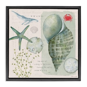 Stupell Industries Sea Shell Inspirational Collage, 25" x 25" - 1 of 4