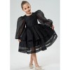 2Bunnies Girls' Organza Long Sleeve Tiered Babydoll Skater Dress - 3 of 4