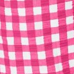 raspberry gingham