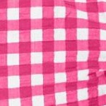 raspberry gingham