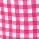 raspberry gingham