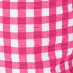 raspberry gingham
