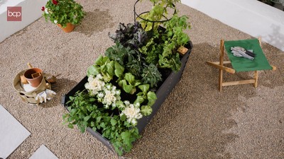 Sage Green 4x2x2ft Powder-Coated Steel Raised Garden Bed