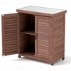 PAGED Outdoor Potting Bench with Storage Cabinet & Metal Table Top, Hemlock Wood Outdoor Storage Cabinet with Screen Door, Garden Potting Table - 2 of 4