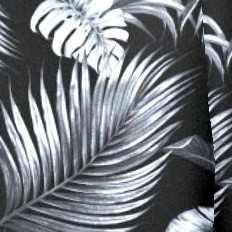 black grey palms