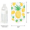 Big Dot of Happiness Tropical Pineapple - Summer Birthday Party Bunting Banner - Birthday Party Decorations - Happy Birthday - 2 of 4