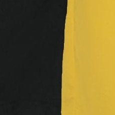 black/yellow