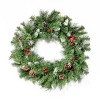 Christopher Knight Home Asher 24’’ Glitter Bristle Mixed Wreath with Warm White Lights (Set of 2) - 4 of 4