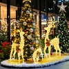 Yaheetech 3-piece Glittering Lighted Christmas Reindeer Family Set with Warm White LED Lights for Front Yard, Porch - 2 of 4
