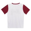 MLB Arizona Diamondbacks Boys' Pinstripe Pullover Jersey - 3 of 3