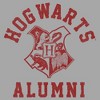 Boy's Harry Potter Hogwarts Alumni Pull Over Hoodie - 2 of 4