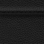 san francisco giants