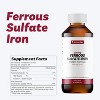 Llorens Ferrous Sulfate 220mg/5mL Liquid Cherry 16 Oz - 2 of 4