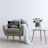 Stupell Industries Fern Varieties on Black Indoor Decorative Throw Pillow, 14 x 20 - 3 of 3