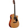 Alvarez Artist Series AD60CE Dreadnought Acoustic-Electric Guitar Natural - 3 of 4