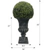 Gulches 32 Inch Ball Topiary Artificial Faux Plant Low Maintenance Indoor Outdoor Decor with Grey Pedestal Pot Home Office Garden - 2 of 4