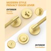 Itopfox Premium Brushed Gold Zinc-Alloy Front Door Lock Set: Double Cylinder Deadbolt, Heavy Duty Security Handleset for Left/Right Exterior Doors - 3 of 4