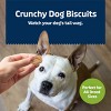 Blue Buffalo Mini Health Bar Apple and Yogurt Flavor Crunchy Dog Treats - 16oz - 4 of 4