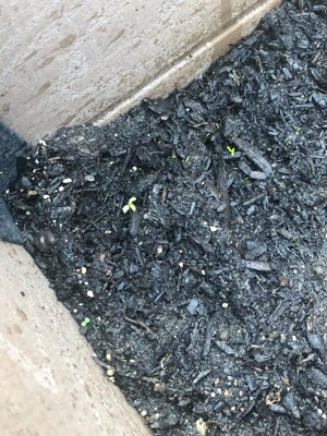 Guest review image 3 of 5, zoom in