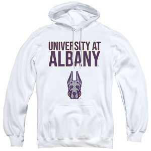 University at Albany Official Stacked Adult Pull-Over Hoodie - 1 of 4