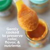 Beech-Nut Non-GMO Naturals Apples Baby Food Jar 4oz + 4oz Butternut Squash Baby Food Jar - 3 of 4