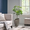 NicBex Artificial Tree 4FT Artificial Pachira Aquatica Pachira Macrocarpa Indoor with Natural Wood Trunk for Home, Foyer - 4 of 4