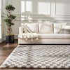 Hauteloom Kieu Black & White Checkered Shag Rug - 4 of 4