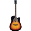 Washburn WA90CE Dreadnought Acoustic-Electric Guitar - 2 of 4