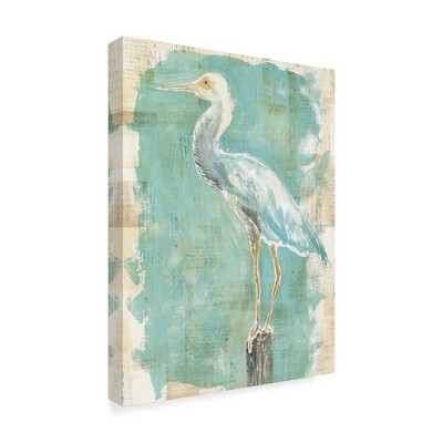 Trademark Fine Art -Sue Schlabach 'Coastal Egret Ii V2' Canvas Art