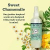 Mrs. Meyer's Clean Day No Rinse Chamomile Scented Dog Shampoo - 8 fl oz - 3 of 4